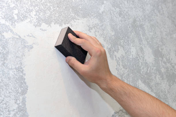 Best Mold Removal for HVAC Installations  in Isle Of Hope, GA