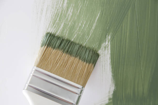 Best Emergency Mold Remediation  in Isle Of Hope, GA
