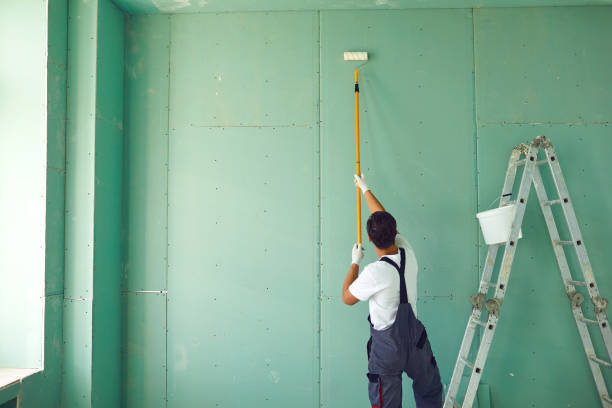 Best Post-Construction Mold Inspection  in Isle Of Hope, GA