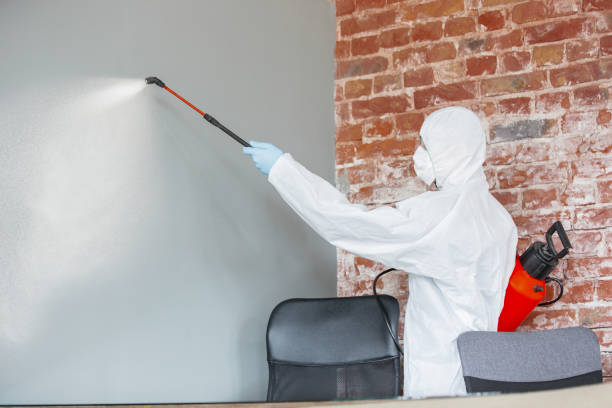 Asbestos and Lead Testing During Mold Inspection in Isle Of Hope, GA