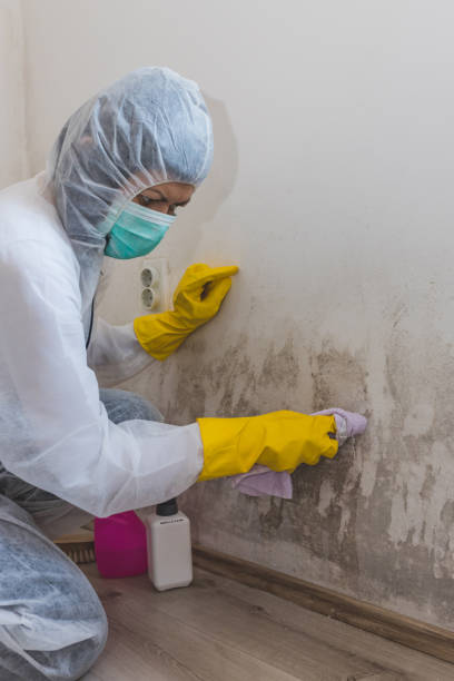 Best Biohazard Mold Removal  in Isle Of Hope, GA
