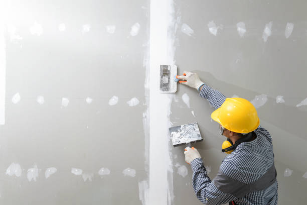 Best Water Damage & Mold Remediation  in Isle Of Hope, GA