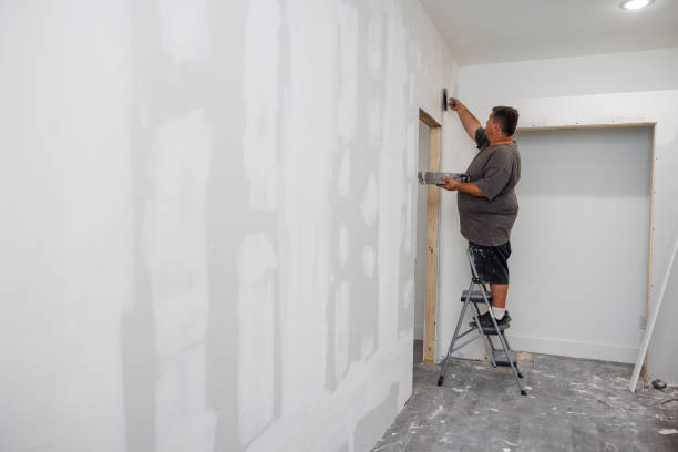 Isle Of Hope, GA Mold Removal Company