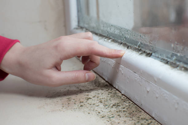 Best Post-Remediation Verification Testing  in Isle Of Hope, GA
