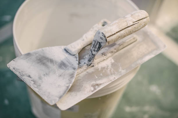 Best Mold-Related Health Consultation  in Isle Of Hope, GA