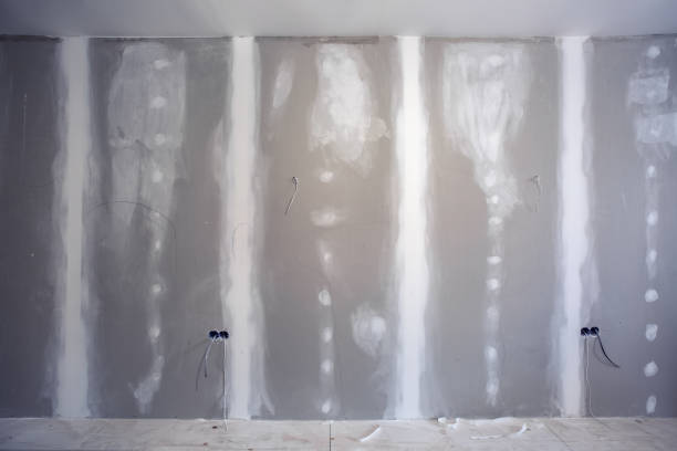 Forensic Mold Investigation in Isle Of Hope, GA